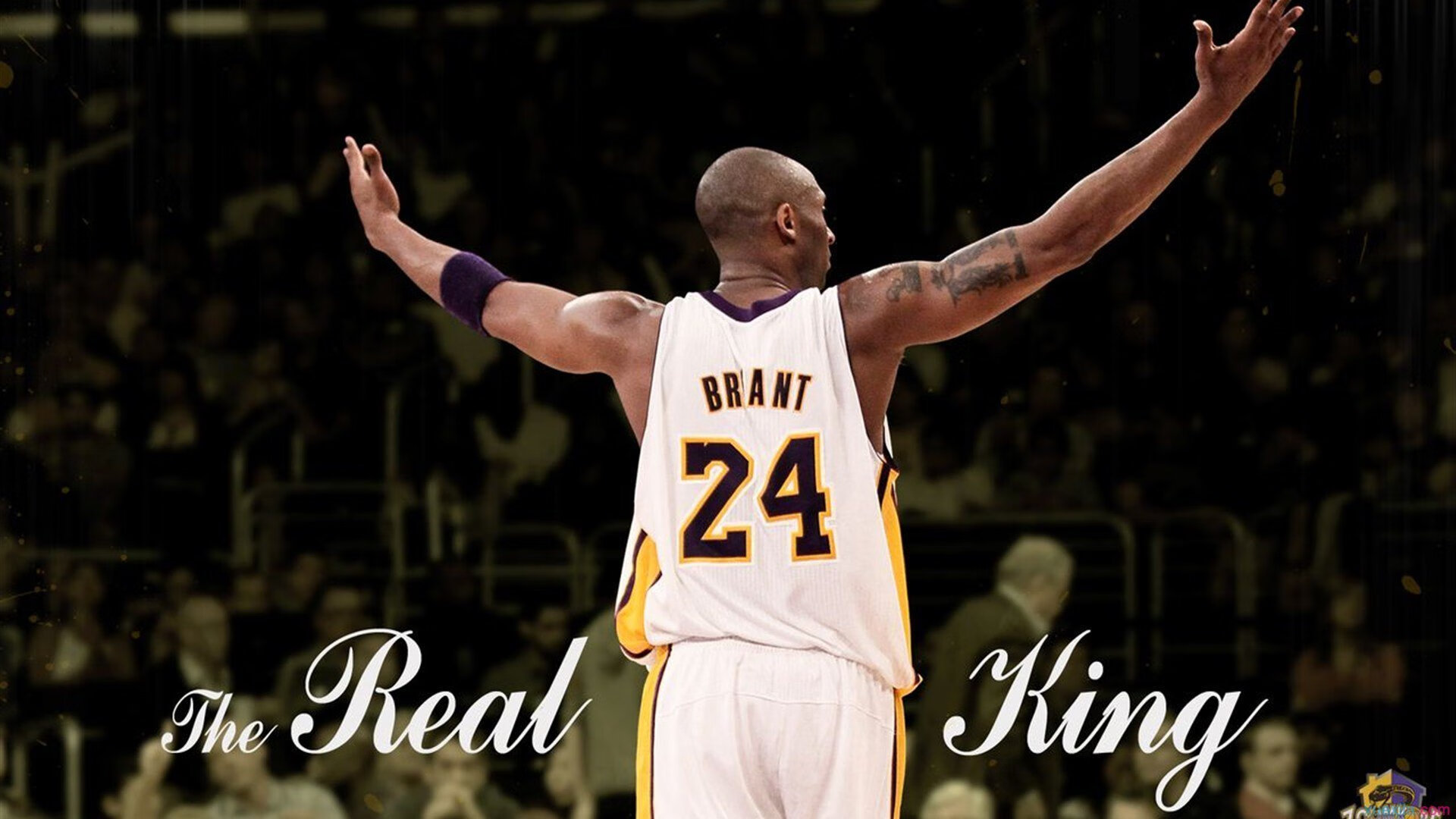 开云体育官网-美加墨世界杯之夜,赖斯个人能力完全展现,现代足球的非典型英雄 第2张 开云体育官网-美加墨世界杯之夜,赖斯个人能力完全展现,现代足球的非典型英雄 第2张